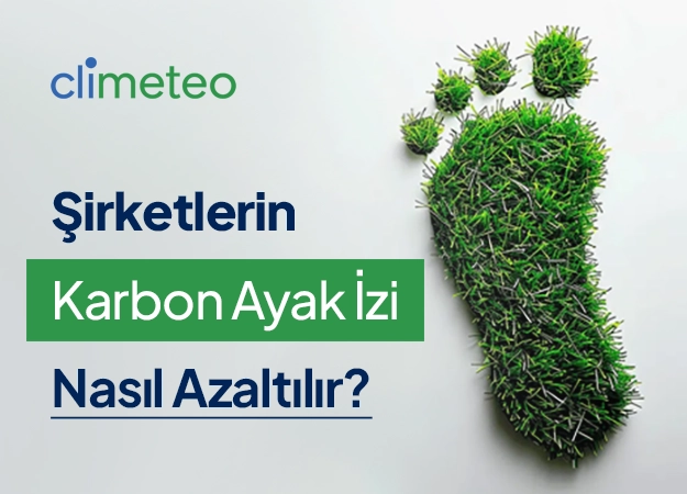 Şirketlerin Karbon Ayak İzi Nasıl Azaltılır?