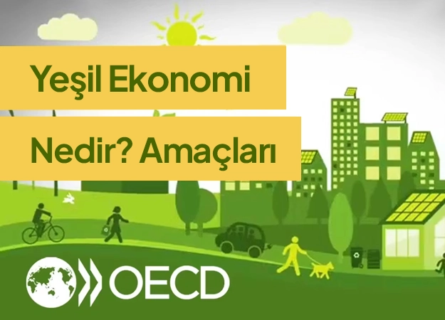 Yeşil Ekonomi Nedir?